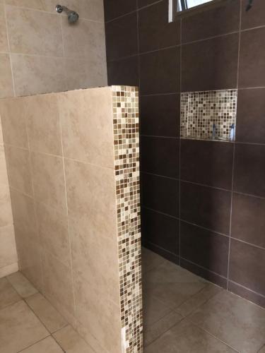 比亚埃尔莫萨Suites Real Tabasco的浴室的墙壁上设有瓷砖和淋浴。