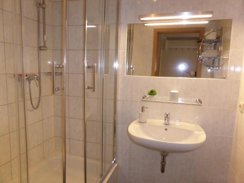德绍Pension Nord的带淋浴、盥洗盆和淋浴的浴室