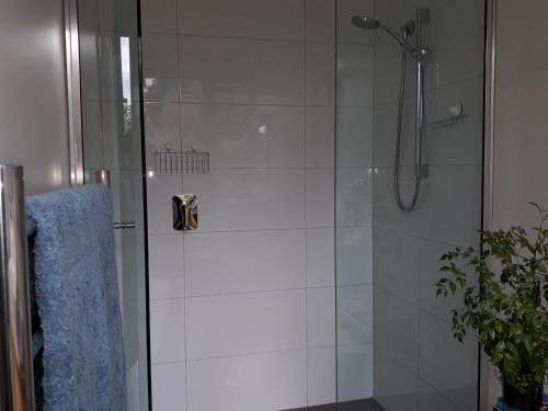 玛普瓦Mapua Studio Quality Accommodation的植物旁玻璃门淋浴