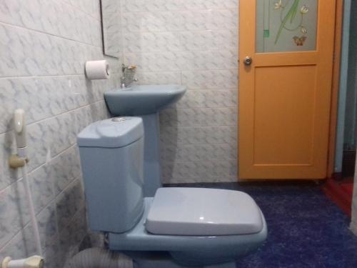 波隆纳鲁沃提萨尔旅馆的浴室设有蓝色的卫生间和水槽。