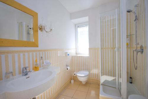 霍赫堡阿赫博格布里克酒店的一间带水槽、卫生间和镜子的浴室