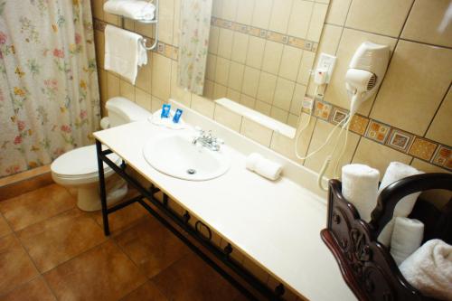 Jinotega咖啡厅酒店的一间带水槽、卫生间和镜子的浴室