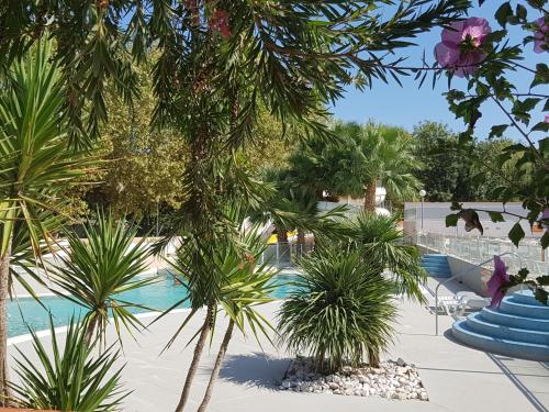 阿格德Mobile Home tout confort Séléna的棕榈树和游泳池度假村