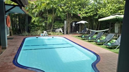 尼甘布棕榈别墅旅馆的庭院内的游泳池,带椅子和树木