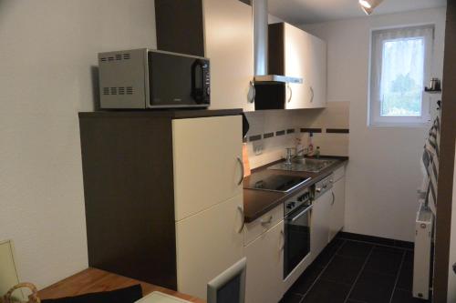 伊尔梅瑙Germania的小厨房配有冰箱上方的微波炉