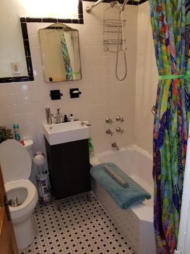 布鲁克林Cozy Fully Furnished Apartment Near Prospect Park & Public Transport的一间带水槽、浴缸和卫生间的浴室