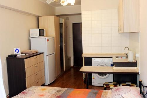 阿拉木图Apartments Zhambyl 159的一间带水槽和冰箱的小厨房