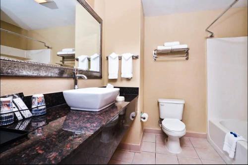 萨凡纳贝斯特韦斯特萨凡纳机场旅馆及套房的一间带水槽、卫生间和镜子的浴室