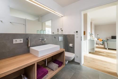 艾森纳赫Suites MITTE - Aparthotel的一间带水槽、卫生间和镜子的浴室