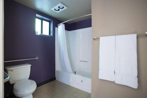 圣何塞阿露拉旅馆的一间带卫生间、窗户和毛巾的浴室