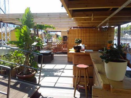 布鲁塞尔Edouard Boat的一个带盆栽的庭院和阳台上的酒吧