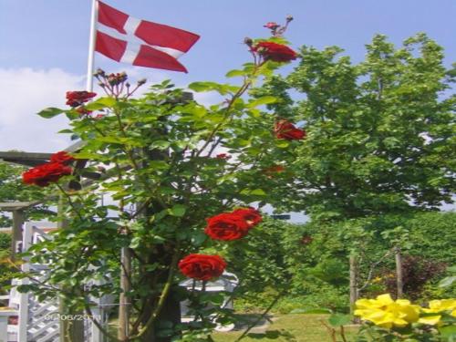 SpangGuesthouse Sønderborg, Ulkebøl的红花旗杆上的旗帜