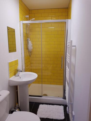 切尔滕纳姆Leckhampton Road Apartments - Cheltenham的带淋浴、水槽和卫生间的浴室