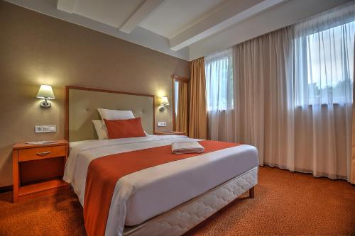 布达佩斯安娜酒店的一间设有大床和窗户的酒店客房