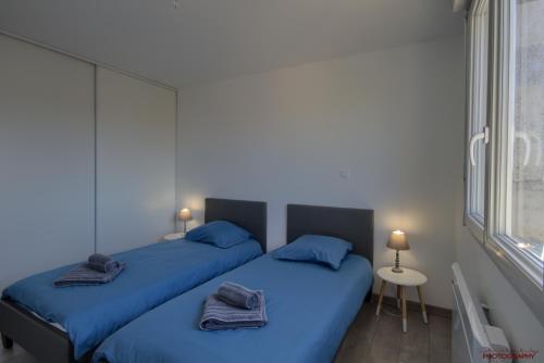 Montalieu-VercieuMONTALIEU SEJOUR 2 Maisons, Les tulipes ou Les Bambous的配有两张床铺的蓝色床单和窗户