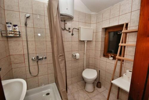 DrvarApartmani 077的带淋浴、卫生间和盥洗盆的浴室