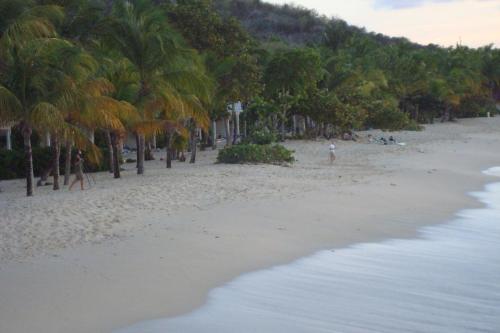 Five Islands VillageTreehouse Cottage的一片棕榈树海滩,人们在沙滩上散步