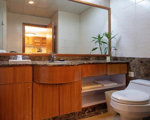 大连大连雅泰服务公寓（原盛捷港湾服务公寓）的一间带水槽、卫生间和镜子的浴室