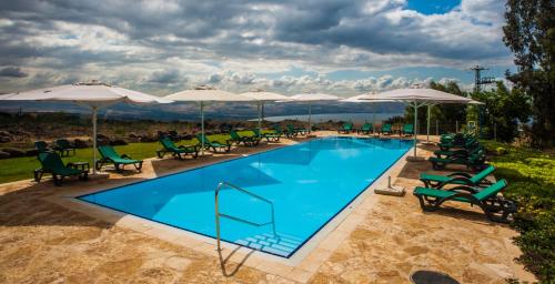 Chorazim维雷德哈加里度假村酒店的一个带椅子和遮阳伞的大型游泳池