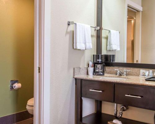 俄克拉何马城The Douillet by Demeure Hotels的一间带水槽和镜子的浴室