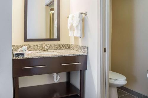 本德本德司丽普酒店的一间带水槽和卫生间的浴室