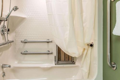 MountvilleSleep Inn & Suites Mountville的浴室配有淋浴帘和盥洗盆。