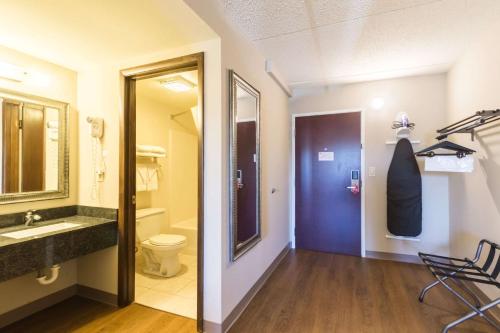 哈里斯堡Econo Lodge Harrisburg - Southwest of Hershey Area的一间带水槽、卫生间和镜子的浴室