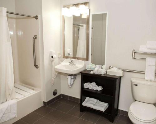 哈里斯堡哈里斯堡司丽普酒店 - 赫希北的一间带水槽、卫生间和淋浴的浴室