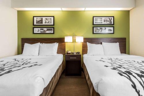 查尔斯顿Sleep Inn Charleston - West Ashley的绿墙旅馆客房的两张床