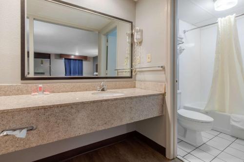 艾肯艾肯伊克诺旅馆的一间带水槽、卫生间和镜子的浴室