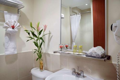 圣米格尔圣米格尔康福特茵酒店的一间带水槽、卫生间和镜子的浴室