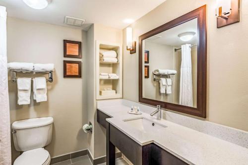 查塔努加卢考特山康福特茵套房酒店的一间带水槽、卫生间和镜子的浴室