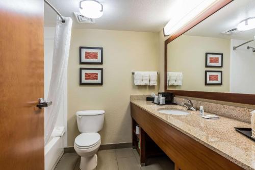 孟菲斯美国之路孟菲斯舒适套房机场酒店的一间带卫生间、水槽和镜子的浴室
