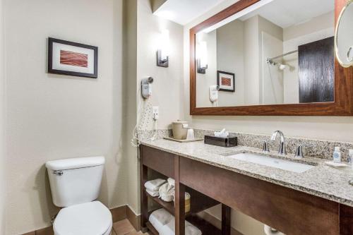 达拉斯爱田康福特茵套房酒店 - 达拉斯市场中心的一间带卫生间、水槽和镜子的浴室