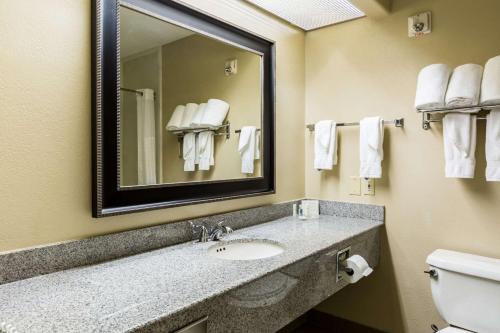 Comfort Suites Westchase Houston Energy Corridor的一间浴室