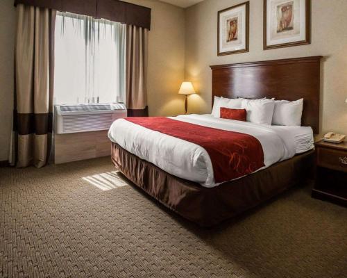 斯塔福德Comfort Suites Stafford Near Sugarland的一间设有大床和窗户的酒店客房