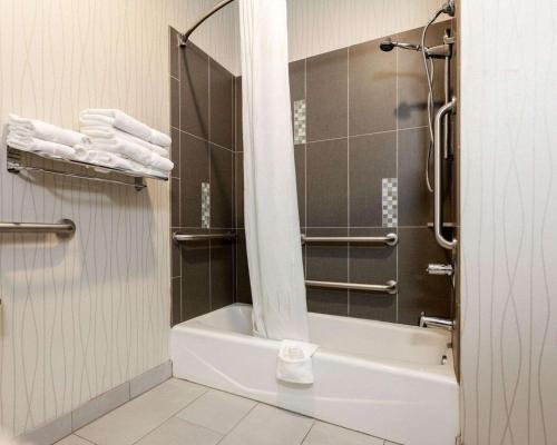 Comfort Suites Greenville的一间浴室