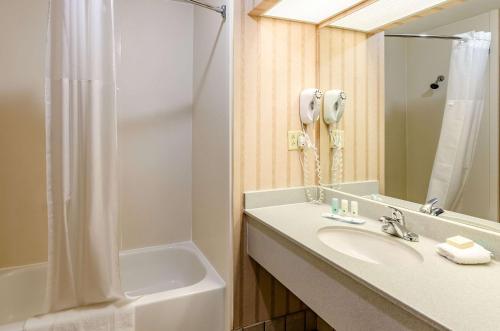 阿宾顿阿宾登品质酒店的一间带水槽和淋浴的浴室以及一部电话