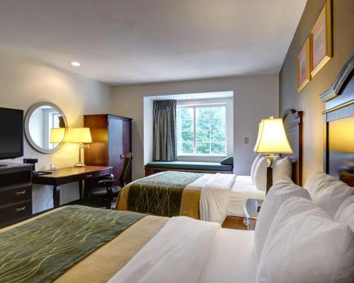 斯特灵机场杜勒斯康福特茵酒店的酒店客房设有两张床、一张桌子和一面镜子