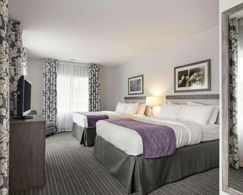 威廉斯堡威廉斯堡康福特茵酒店的酒店客房设有两张床和电视。