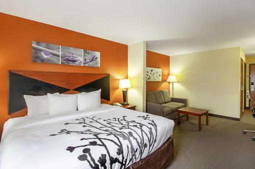 麦迪逊司丽普麦迪逊套房酒店的配有一张床和一把椅子的酒店客房