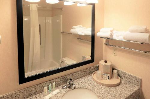 谢里登谢里登品质酒店的浴室配有盥洗盆、镜子和毛巾