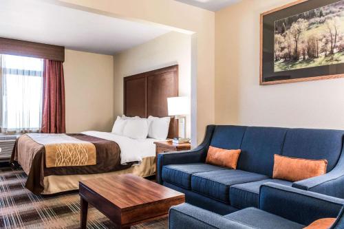谢里登谢里丹康福特套房酒店的酒店客房,配有床和沙发