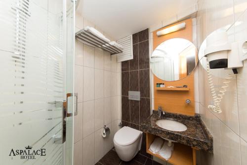 伊斯坦布尔伊斯坦布尔老城阿斯宫酒店的一间带卫生间、水槽和镜子的浴室