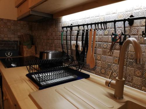 布拉索夫Zozo Hostel的厨房水槽和墙上的晾衣架