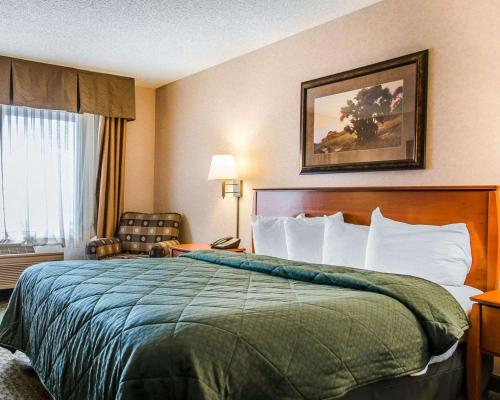 双子瀑布特温福尔斯套房品质酒店的酒店客房带一张大床和一把椅子