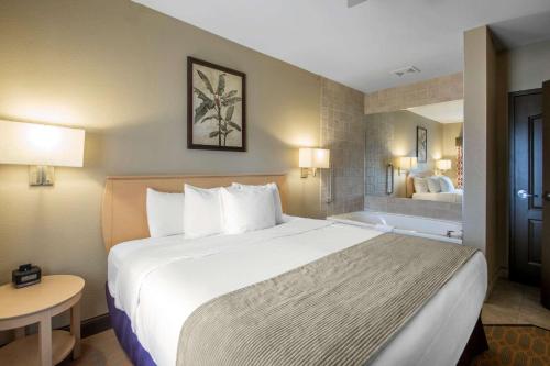威斯康星戴尔Bluegreen Vacations Odyssey Dells Resort的酒店客房设有一张大床和浴缸。