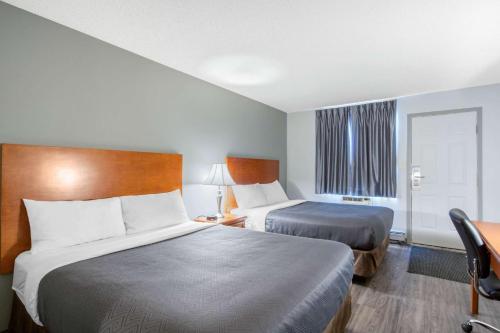 里贾纳伊克诺酒店的酒店客房配有两张床和一张书桌