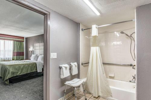 圣安东尼奥Quality Inn I-10 East near Frost Bank Center的酒店客房设有带一张床和浴缸的浴室