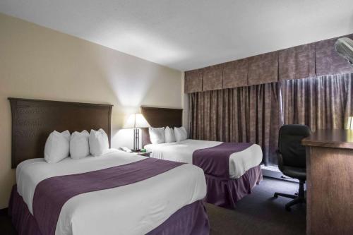 耶洛奈夫品质套房酒店客房内的一张或多张床位